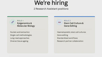💼 We're hiring. featured image