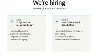 💼 We're hiring. featured image