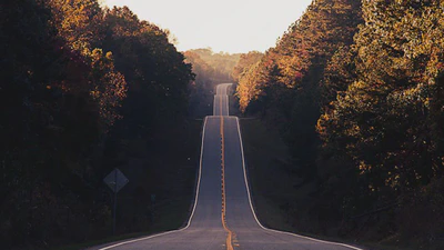 🎉 We have a website! featured image