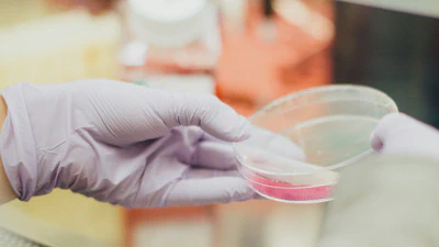 Research Assistant - Stem Cell Culture & Gene Editing featured image